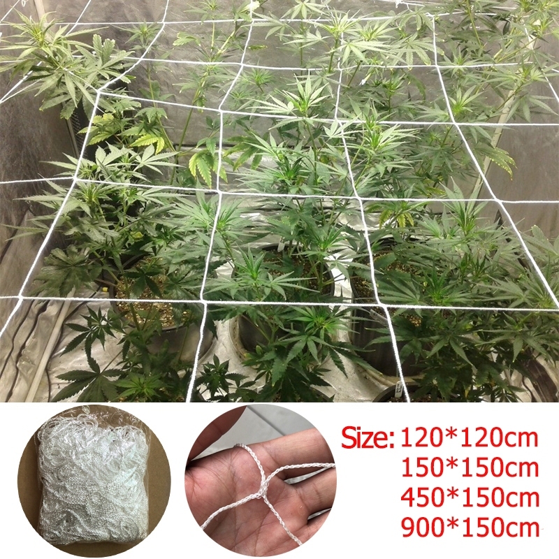 Scrog Net ขนาด 80x80 cm / 120x120 cm / 150x150 cm / 240x120 cm ตาข่ายปลูกต้นไม้เพื่อการเพิ่มผลผลิต