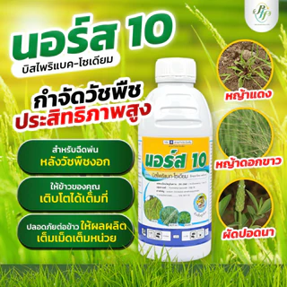 นอร์ส 10 บีสไพรีแบก-โซเดียม 500 ซีซี หัวเสือ สูตรน้ำ สูตรใหม่ ดูดซึมดีกว่าเดิม กำจัดหญ้าในนาข้าว
