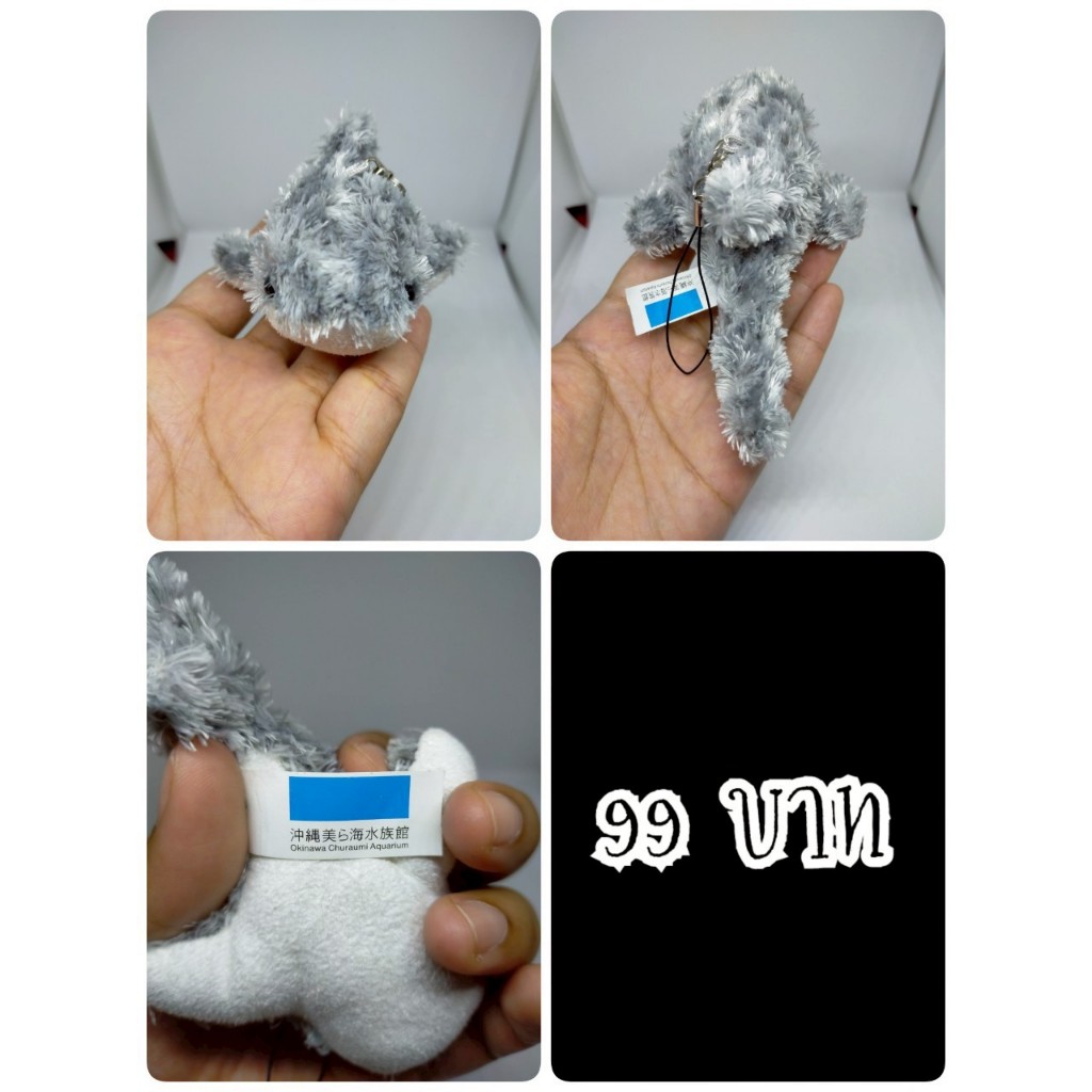 Whale Shark#ฉลามวาฬ#ปลา#Okinawa Churaumi Aquarium#ป้ายห้อย#งานพวงญี่ปุ่นมือสอง