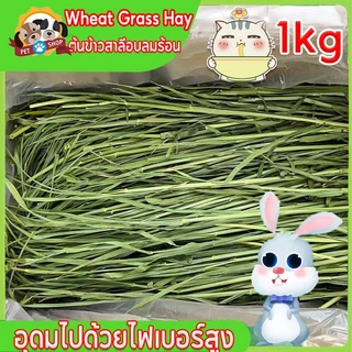 1kg WheatGrassHay วีทกลาส หญ้าแมว ต้นข้าวสาลีอบลมร้อน หญ้ากระต่าย หนูแกสบี้ ชินชิลล่า