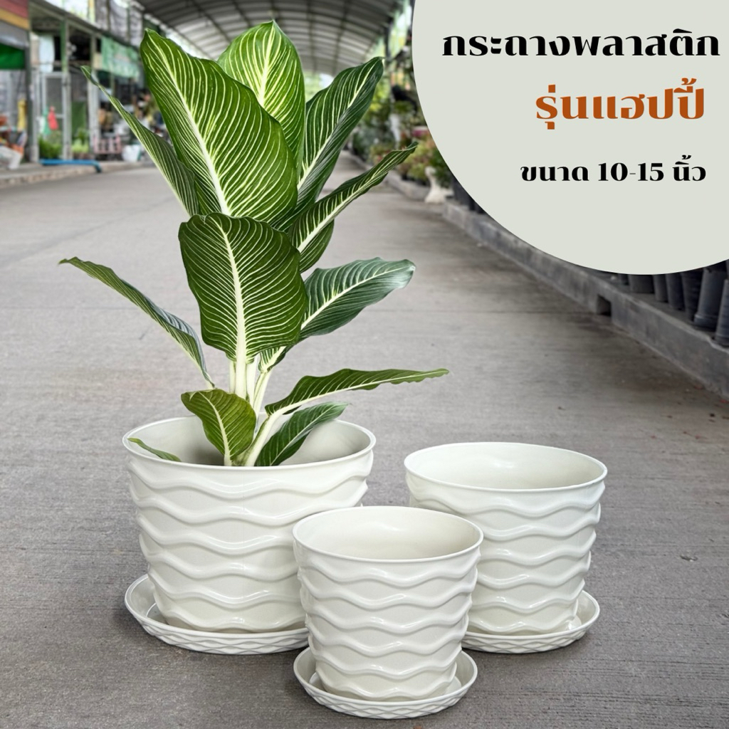 ‼️ถูก  ส่งเร็วทันใจ‼️ กระถางพลาสติก รุ่นแฮปปี้ พร้อมจานรอง  ขนาด 10-15 นิ้ว