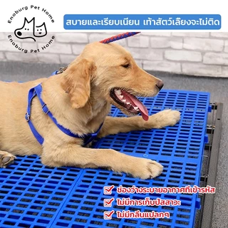 แผ่นรองกรง แผ่นรองกรงใหญ่ กันเท้าตกร่อง กันลื่น วัสดุPPทนทาน รองรับน้ำหนักดี สำหรับสัตว์เลี้ยง