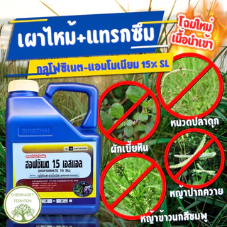 กลูโฟซิเนท 15% สิงห์ไทย เนื้อนำเข้า 100% สารกำจัดวัชพืชใบแคบและใบกว้าง ตายดี ตายทน ทนฝน ขนาด 4ลิตร
