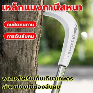 【นำเข้าเหล็ก】มีดตัดหญ้ามอร์น, เคียว, เคียวแมงกานีส, มีด, มีดเหล็กแมงกานีส, เคียว, เคียวตัดแต่ง, เคียวหญ้า, มีดแมงกานีส