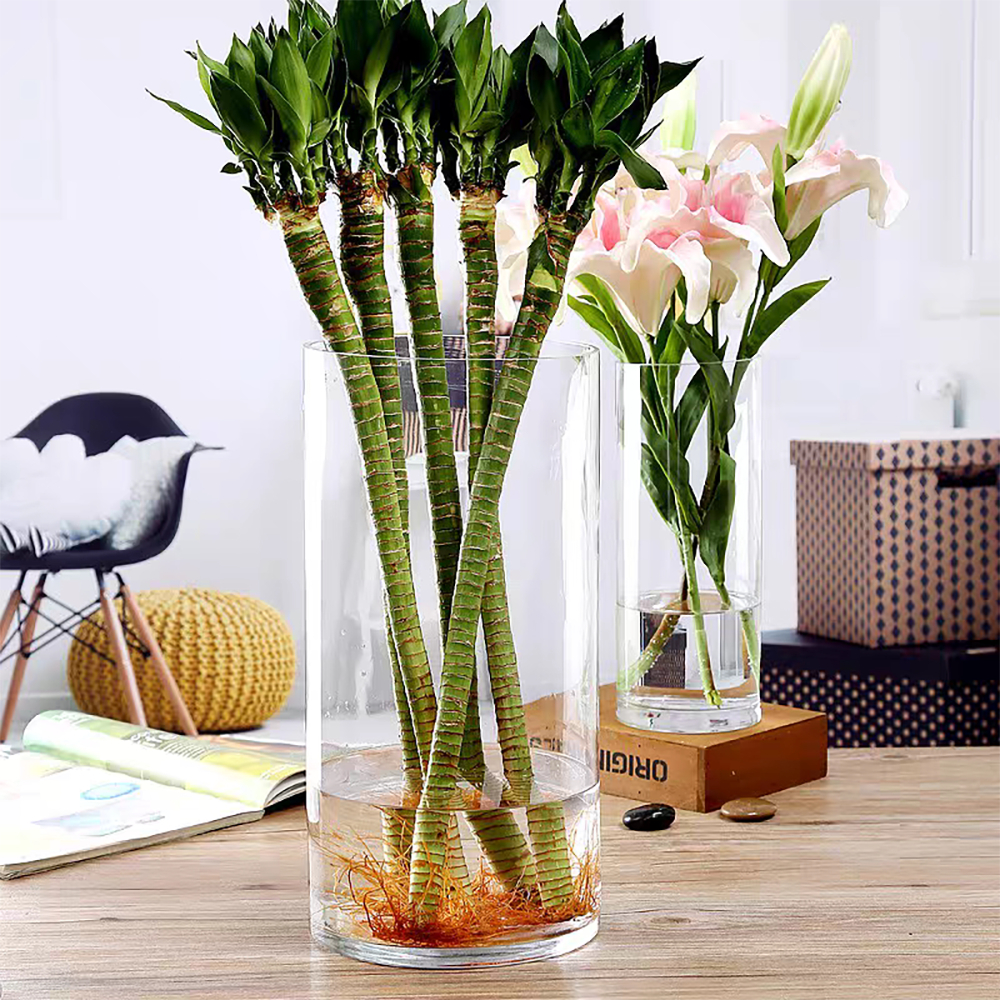 แจกันอะคริลิค แจกันดอกไม้ แจกัน vase แจกันพลาสติก ตกแต่งบ้าน ตกแต่งโต๊ะ