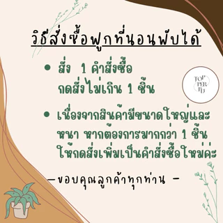 ฟูกที่นอนพับได้ หนา 8 นิ้ว ขนาด 3.5 ฟุต 5 ฟุต 6 ฟุต นุ่มแน่น ผ้าคอตตอน ไม่ยุบง่าย ไม่ปวดหลัง
