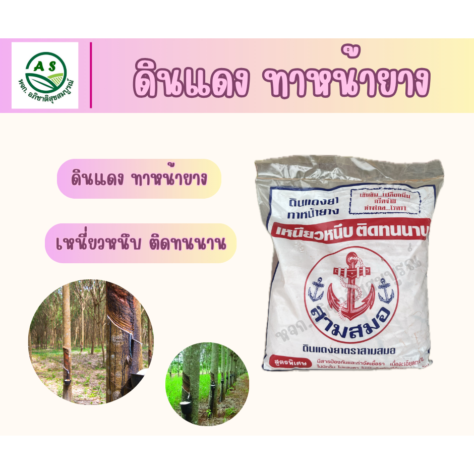 ดินแดงทาหน้ายาง 1 กก. ยับยั้งเชื้อรา หน้ายางนิ่ม แผลหายไว น้ำยางไหลดี สำหรับสวนยางพารา [3006] ราคา ถูกที่สุด ดีลบีเคเค แกลเลอรีภาพที่ 6