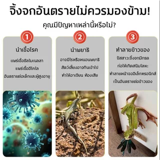 ฆ่าจิ้งจกในบ้าน ยาฆ่าจิ้งจก ยาฆ่าตุ๊กแก สูตรอัปเกรด แบบเหยื่อ กำจัดจนหมด ปลอดภัยกับสัตว์เลี้ยง ไม่มีตุ๊กแกทั่วบ้าน