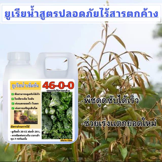 ยูเรียน้ำ 1ลิตรแถม1ลิตร มีของพร้อมส่ง ของแท้