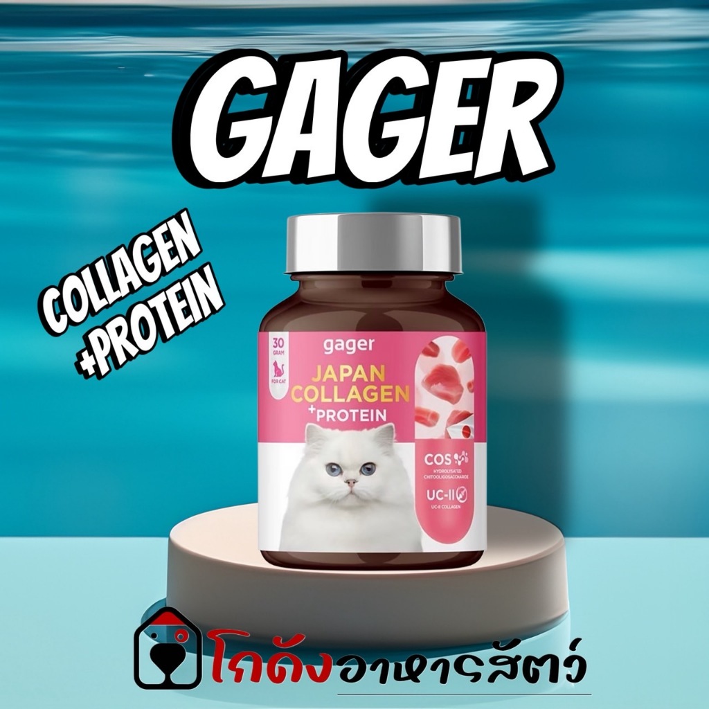 Gager (กาเจอร์) 100G อาหารเสริมแมวอ้วน ผงคอลลาเจนแมว ผงคอลลาเจนแมวอ้วน ผงโปรตีนเสริมสร้างกล้ามเนื้อท
