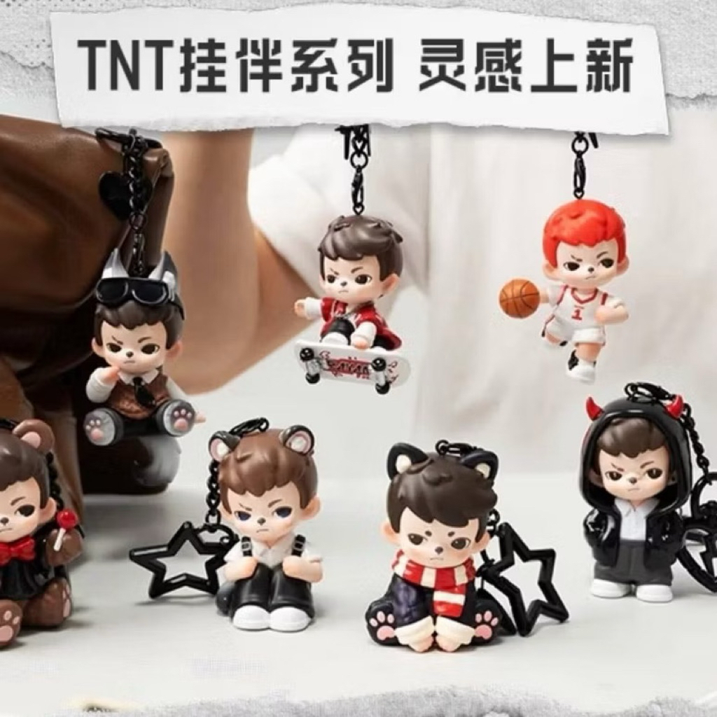 [พร้อมส่ง ในไทย] ยกบ็อกซ์ กล่องจุ่ม TNT Rayan Love Series พวงกุญแจ Rayan