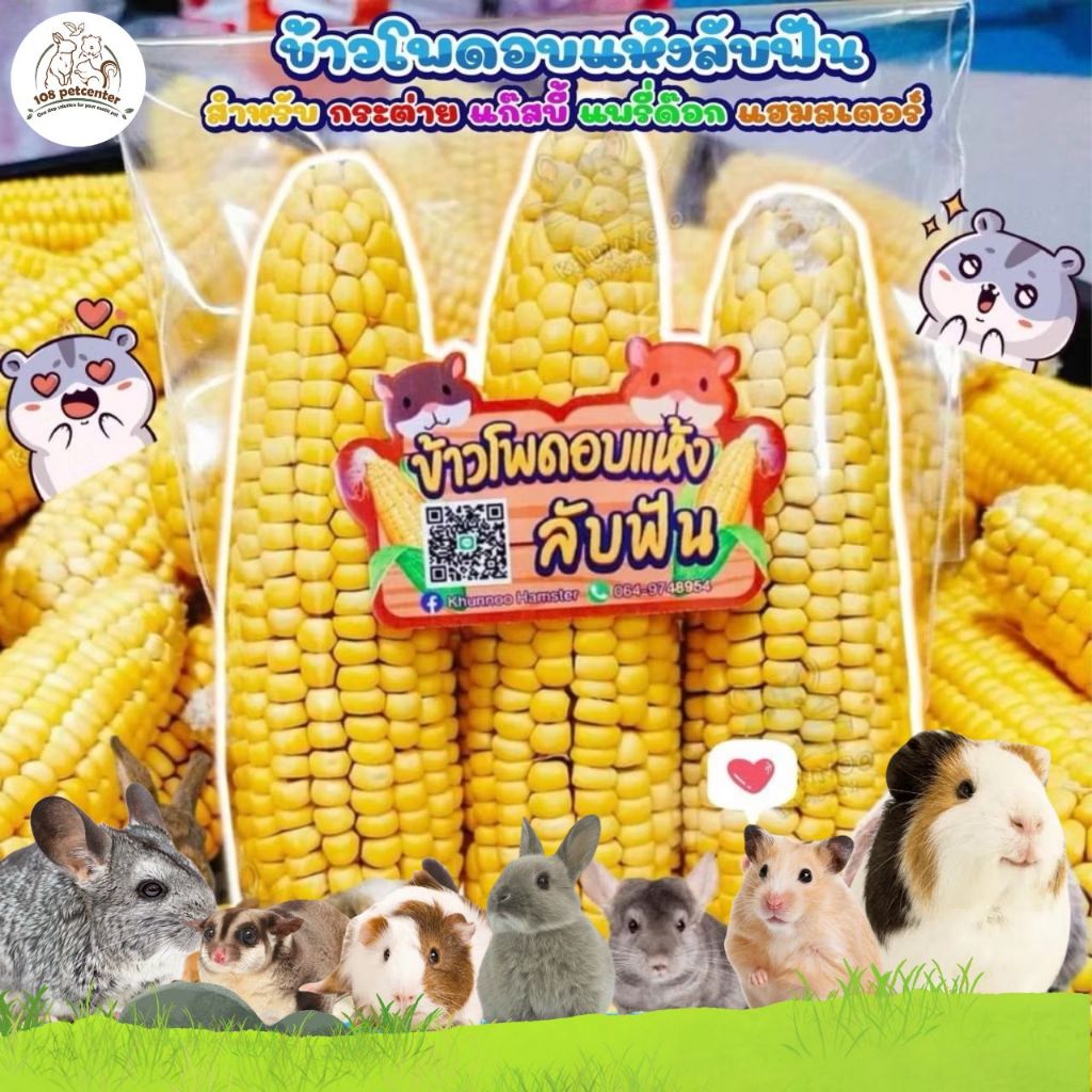 ขนมหนูแฮมเตอร์ กระต่าย ขนมลับฟัน ข้าวโพดฝักลับฟัน และข้าวโพดเม็ดลับฟัน