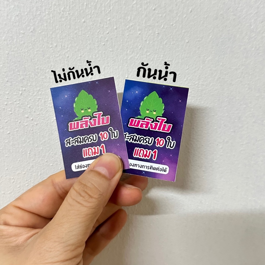 รูปภาพ 7