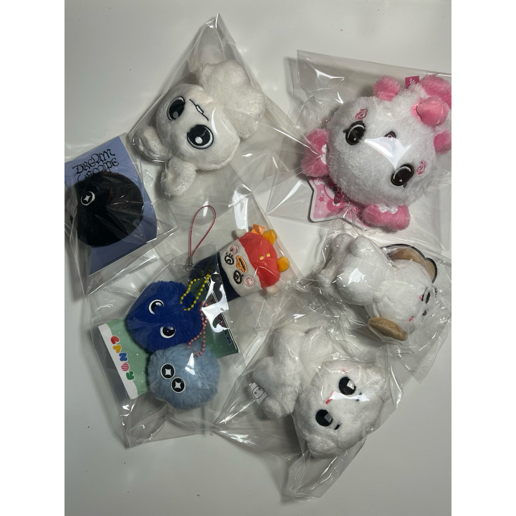 [ Update ] ตุ๊กตา NCT127 NCTDREAM NCTWISH RIIZE