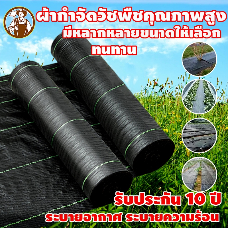 Daily Gold ผ้าคลุมดิน เกรด AAAA พลาสติกคลุมวัชพืช🌱 ป้องกันรังสี หมดปัญหาหญ้าขึ้นกวน 1x100 2x100 3x100