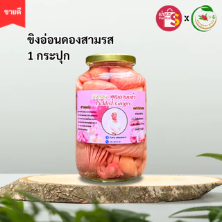 [มีส่งด่วน] ขิงอ่อนดองสามรส 1 กระปุก [ขิงดอง คุณยายแอ๋ว] สินค้าOTOP เนื้อขิงอ่อน 400 กรัม เก็บได้นานถึง 1 ปี