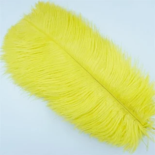 ขนนกกระจอกเทศ ยาว 20-24cm เส้นละ 16บาท