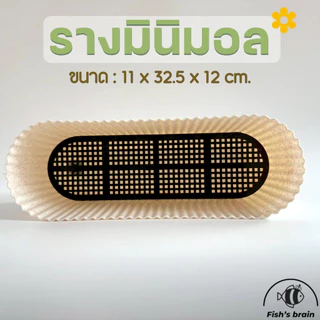 กระถางรางยาว 4นิ้ว รางมินิมอล กระถางรางลูกฟูก กระถางต้นไม้