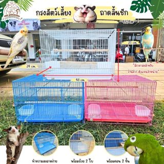 กรง​นก, กรงชูการ์, กรงกระรอก​ BQ07# พร้อมไม้แกะ ถ้วยอาหาร ถา…