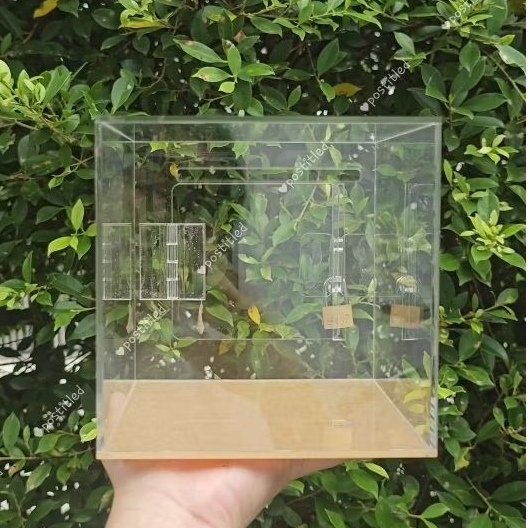 กล่องใส่ทิป tip box กล่องใส่เงิน กล่องรับบริจาค กระปุกออมสิน มีกุญแจล็อค ราคา ถูกที่สุด ดีลบีเคเค แกลเลอรีภาพที่ 2