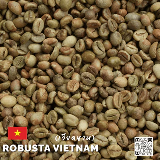 สารกาแฟโรบัสต้า เวียดนาม Robusta Vietnam บรรจุ 1 Kg. RK.Coffeebean.[พร้อมส่ง]