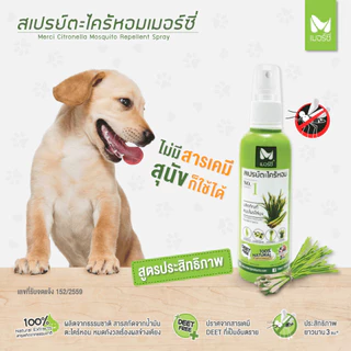 (โปร 55 บาท‼️) สเปรย์กันยุง ตะไคร้หอม Merci 60 ml. สเปรย์กันยุงสำหรับเด็ก-ผู้ใหญ่ ออแกนิค100% ปลอดภัยต่อสัตว์เลี้ยง