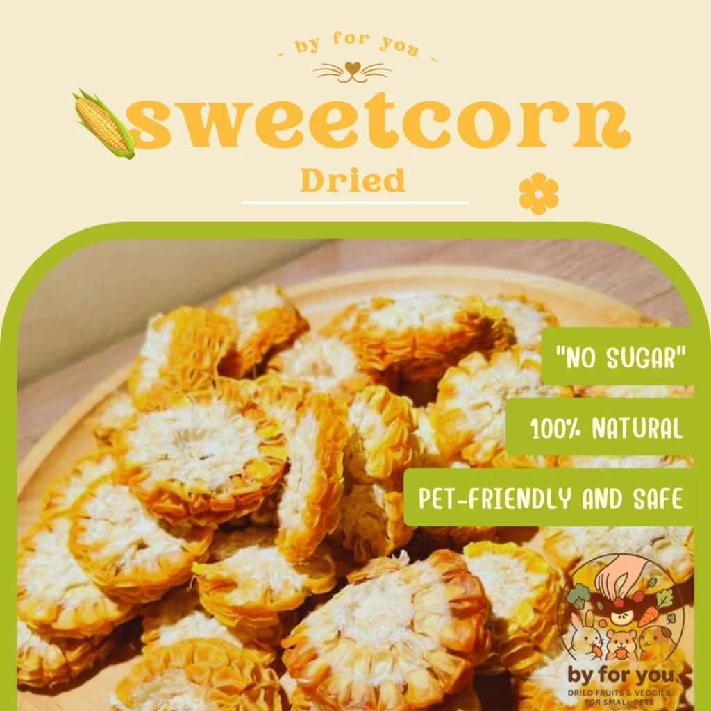 ข้าวโพดอบแห้ง สำหรับหนูแฮมสเตอร์และสัตว์ฟันแทะ By For You🌽| ข้าวโพด100% Organic