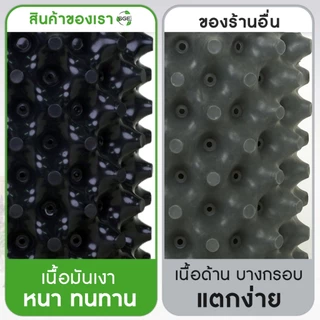 SGE กระถางต้นไม้ กระถางดอกไม้ Air Pot( AP แนะนำ 5 ชิ้น ราคาพิเศษ!!!) พลาสติก เกรด HDPE ประกันคุณภาพ