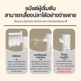 ปลาสวยงาม, ตู้ปลาขนาดเล็ก AS มีฝาปิดป้องกันปลากระโดดออกมา สามารถใช้สำหรับการจัดเก็บ วางอาหารปลา