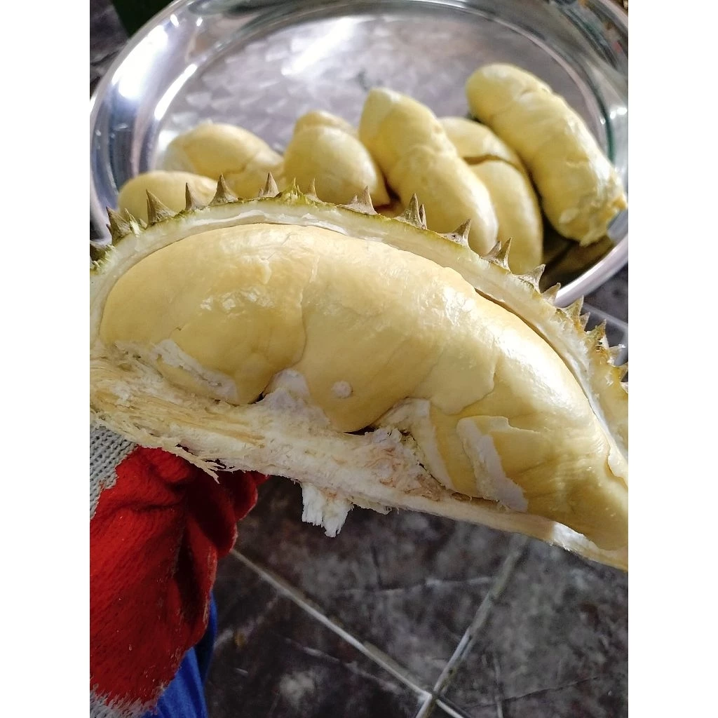 ทุเรียนหมอนทองพระร่วงของแท้ แก่จัด เนื้อดี เนื้อเต็มพู หอม หวาน อร่อย