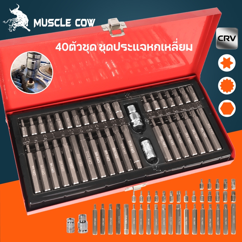 MUSCLE COW ชุดบล็อกรถยุโรป ลูกบล็อกเดือยโผล่หกเหลี่ยม หัวท๊อก 12แฉก 40ชิ้น/ชุด ลูกบล็อก ลูกบล็อค บล็อค