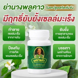ย่านาง พลูคาว แคปซูลสกัดเข้มข้น ตราแม่บัวแก้ว (โปร 1 กระปุก)