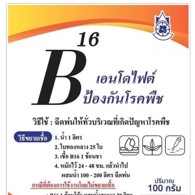 B16 เอนโดไฟต์ หรือ AM จุลินทรีย์ยอดขยัน ป้องกันโรคพืช ไมคอไรซ่า หัวเชื้อจาวปลวก พืชโตเร็ว เพิ่มผลผลิ