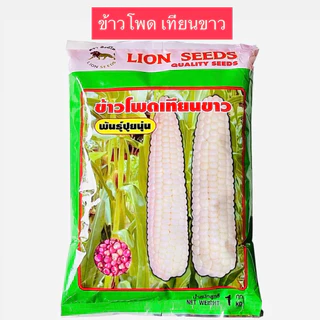 สิงโต เมล็ด ข้าวโพด ขาวปุ้มปุ้ย,เทียนดำ,ข้าวโพดเทียนม่วง-ขาว,เทียน3สี,เทียนเหลือง,เทียนขาว,แปดแถว,สวีท (1 กิโลกรัม)