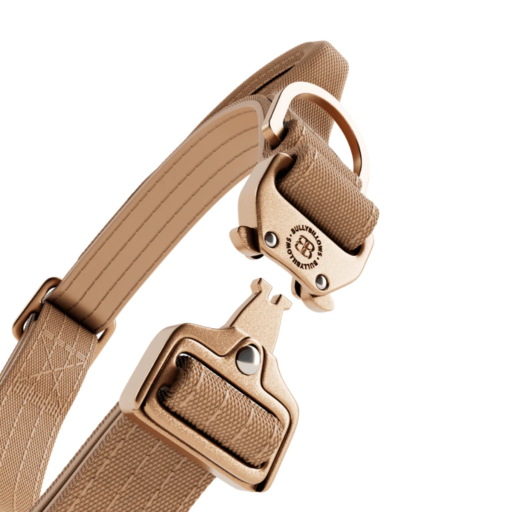 BullyBillows 2.5cm LIGHTER Combat® Collar รูปที่ 8