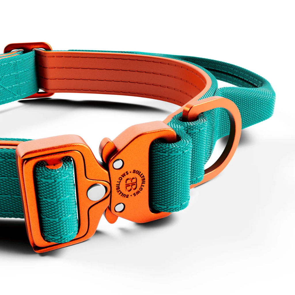 BullyBillows 2.5cm LIGHTER Combat® Collar รูปที่ 7