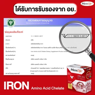 MaxxLife Iron ธาตุเหล็ก Ferrous Bisglycinate Chelate 15 mg ดูแลร่างกาย อ่อนเพลีย ดูดซึมดี 30 แคปซูล