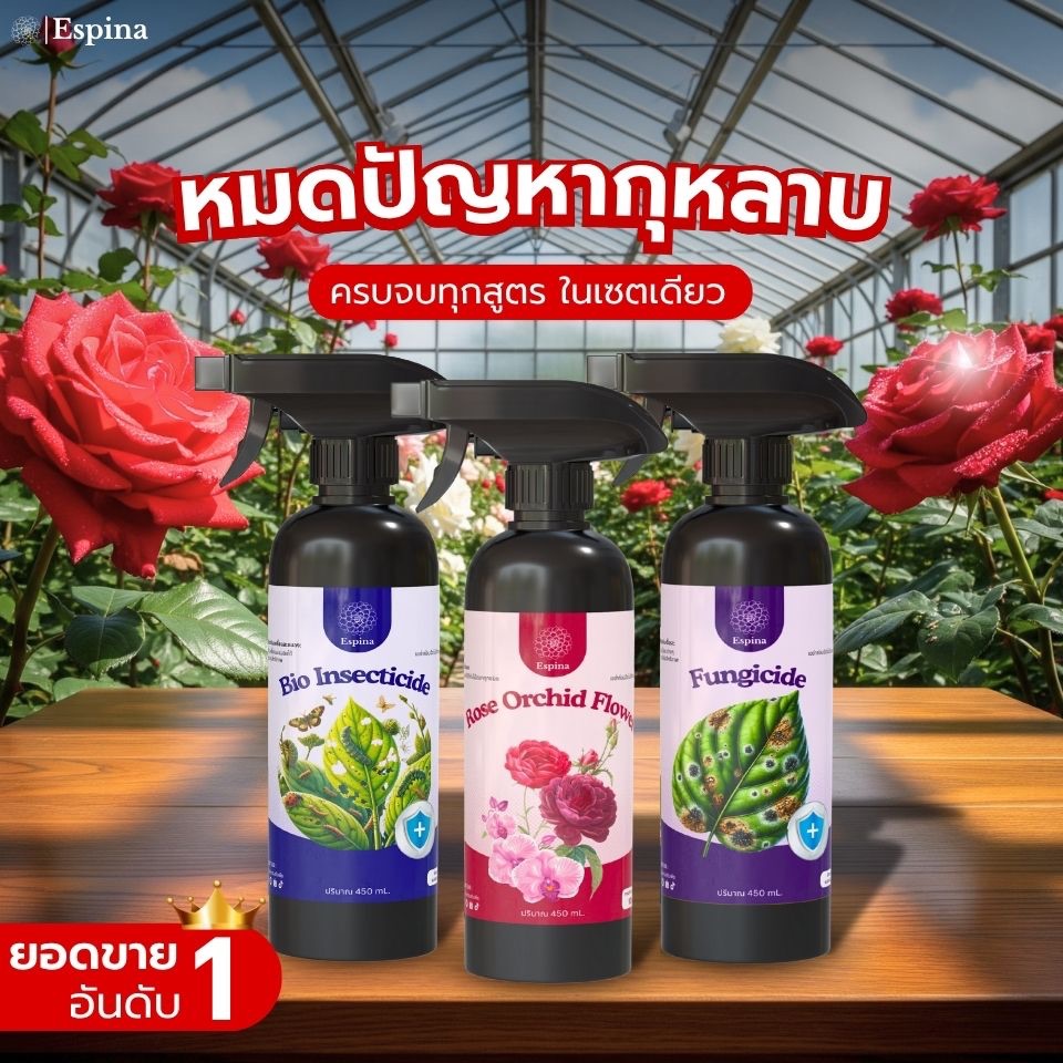 ครบจบทุกปัญหา (สูตรบำรุง+สูตรกันเชื้อรา+สูตรกันแมลง) Espina