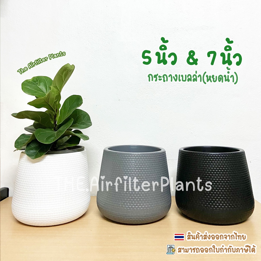 กระถางต้นไม้มินิมอล 5,7 นิ้ว🌿 มีจานรองในตัวกระถางทรงโมเดิร์นหยดน้ำ Minimal กระถางเบลล่า Kuppa