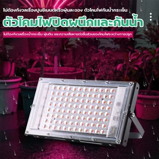 ไฟเลี้ยงต้นไม้ ไฟปลูกต้นไม้ 100W ไฟเลี้ยงแคคตัส ไฟเลี้ยงไม้ด่าง ไฟเลี้ยงกระบองเพชร Full Spectrum LED Growth Lights