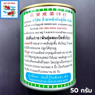 คื่นฉ่าย เมล็ดผักคื่นฉ่ายต้นขาว กระป๋อง ขนาด 50 กรัม ตราปลาทอง พันธุ์ กรองทอง