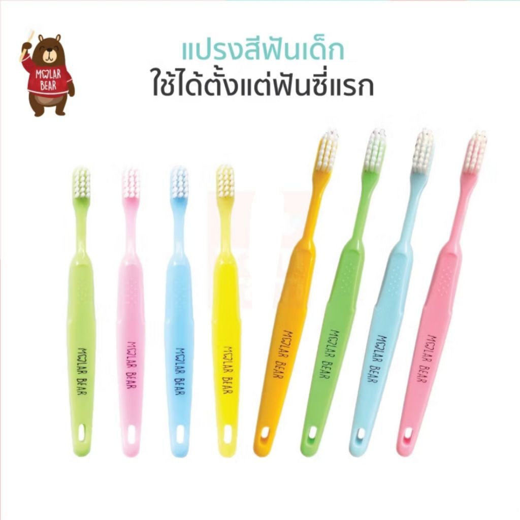แปรงสีฟันเด็ก Molar Bear โมล่าร์ แบร์ (อายุ 0-3/3-6/6-12 ปี+) แปรงสีฟัน ขนแปรงนุ่ม หัวแปรงขนาดเล็ก