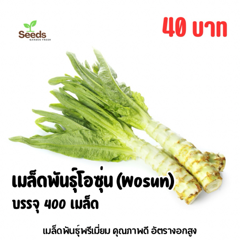 เมล็ดพันธุ์โอซุ่น บรรจุ 400 เมล็ด/ซอง