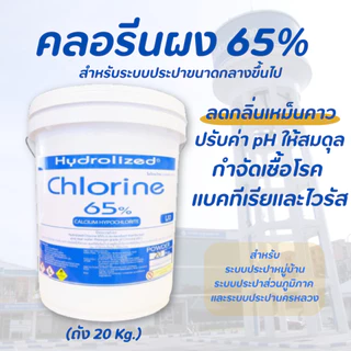 คลอรีนผง 65% ถัง 20 kg สำหรับประปาขนาดกลางขึ้นไป ฆ่าเชื้อโรคแบคทีเรีย แก้น้ำเหม็นคาว