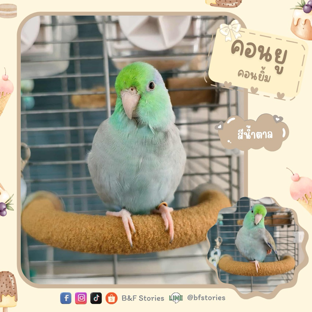 คอนตัวยูวว คอนลับเล็บ (⭐️Pre1-2วันนะคะ)