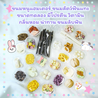 ขนมหนูแฮมเตอร์ ขนมลับฟัน ขนมกระต่าย ขนมชูการ์ มีโปรตีน วิตาม…