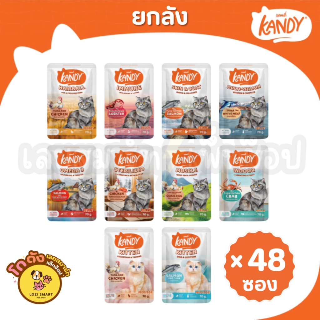 [ยกลัง] Kandy อาหารเปียกแมว ขนาด 70 กรัม