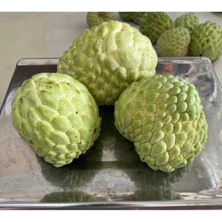 น้อยหน่า น้อยหน่า เพรชปากช่อง สดๆ จากสวนจ้าา เก็บตาม orderจ้า พร้อมส่งค่ะ