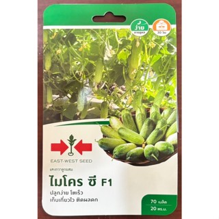 แตงกวาลูกผสม  ไมโครซี F1 ซองเล็ก