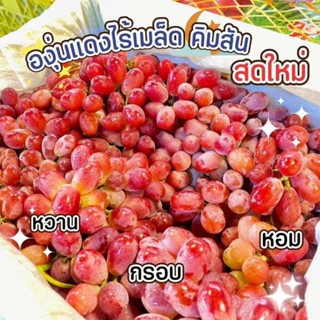 องุ่นแดงคิมสันออสเตรเลียไร้เมล็ดยกตะกร้า 4+ กิโลกรัมพร้อมส่ง